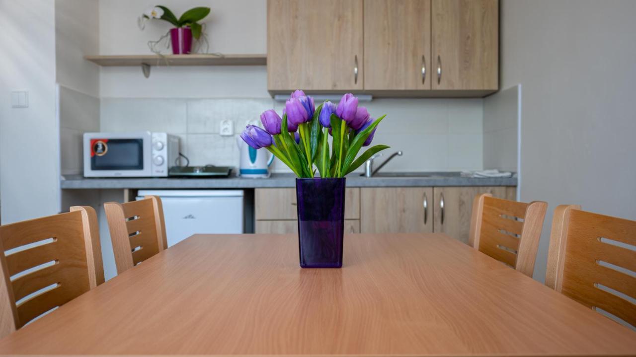 Apartmany A Studia Zamecky Park 里维诺夫 外观 照片