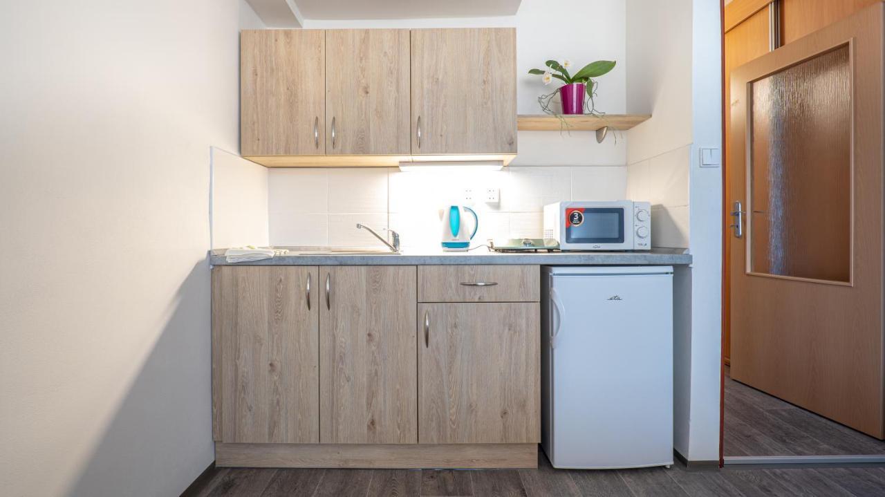 Apartmany A Studia Zamecky Park 里维诺夫 外观 照片